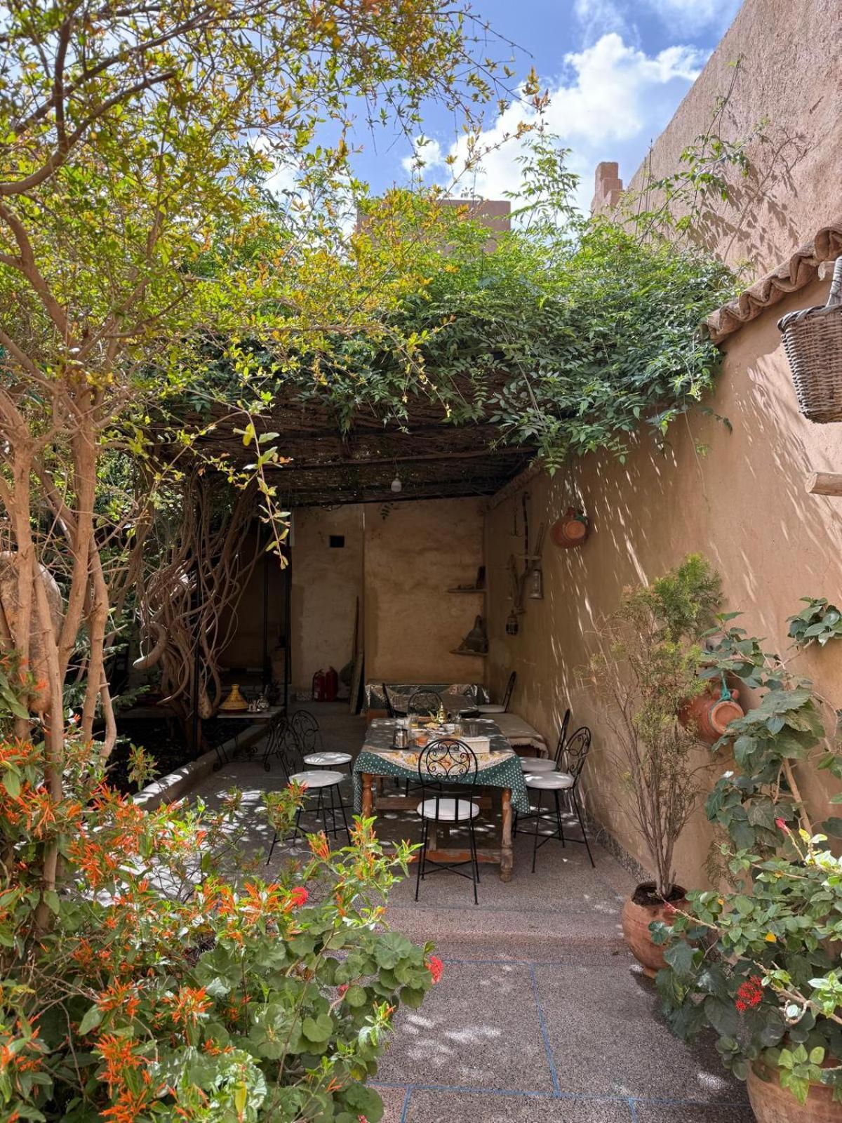Séjour chez l'habitant Oasis De *