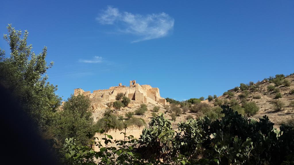 Oasis De Tiout