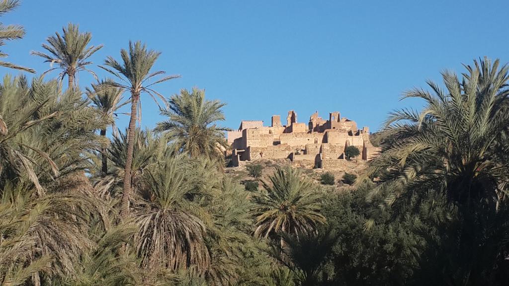 Oasis De