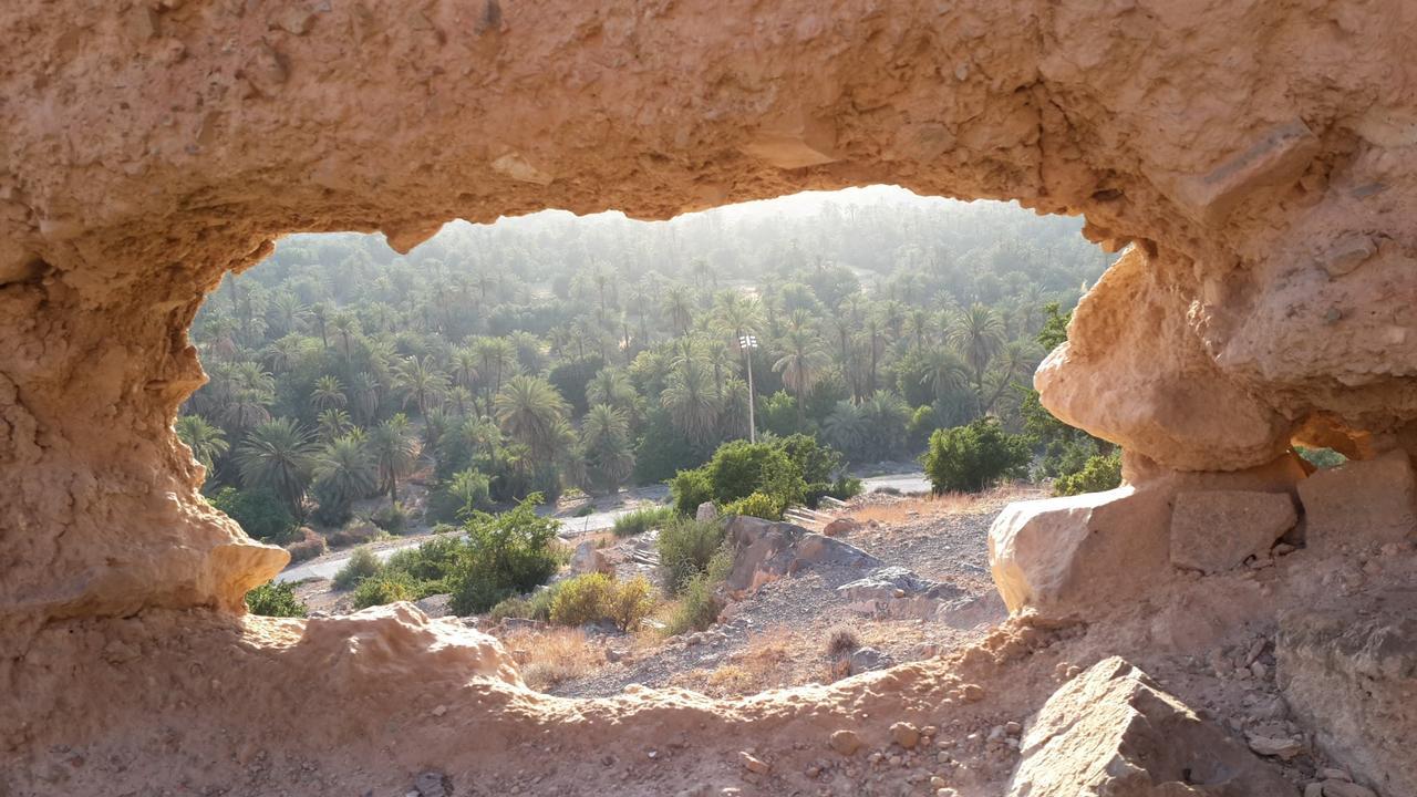 Oasis De