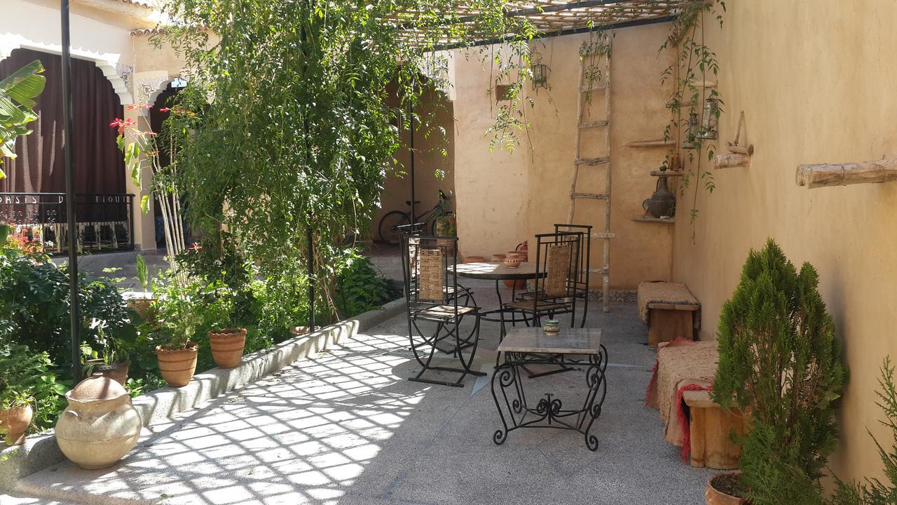 Oasis De * Tiout